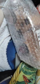 M***i review photo