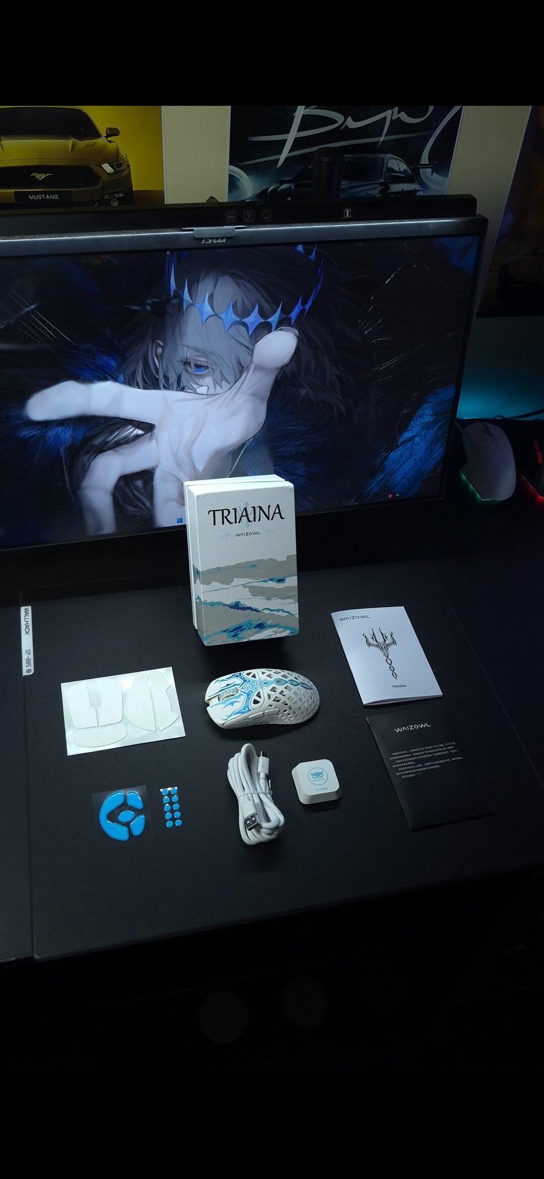 TRIAINA – Waizowl Gear