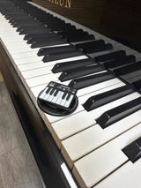 Kyliy review photo