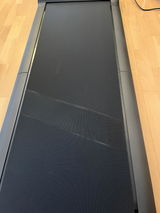 Peter Schmidt review photo