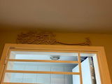 Salina S. review photo