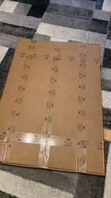S.F. review photo