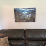 Terry B. review photo