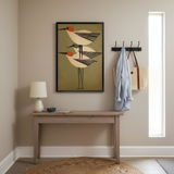 Dora Meir review photo