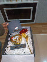 Vikas Mehta review photo