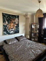 Meral K. review photo