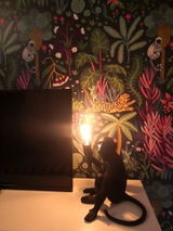 Debora B. review photo