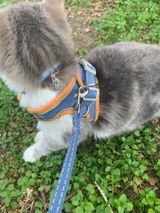 Prudence review photo