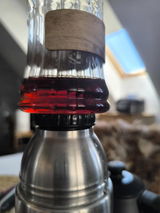Rositza Ilieva review photo