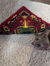 Sabrina review photo
