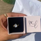 glamourists review photo