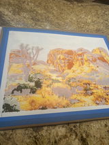 Craig Chastain review photo