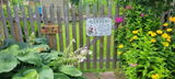 Richard Hibbert review photo