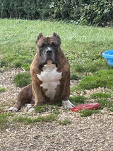 deanna review photo