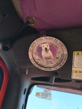 Scottie C review photo