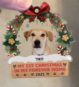 Theo’s Family review photo