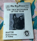 Dogtribe704 review photo