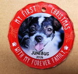 Junebug Owner review photo