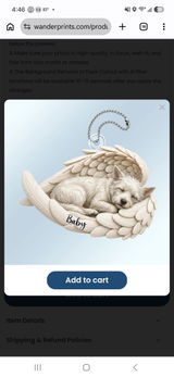 William Cook review photo