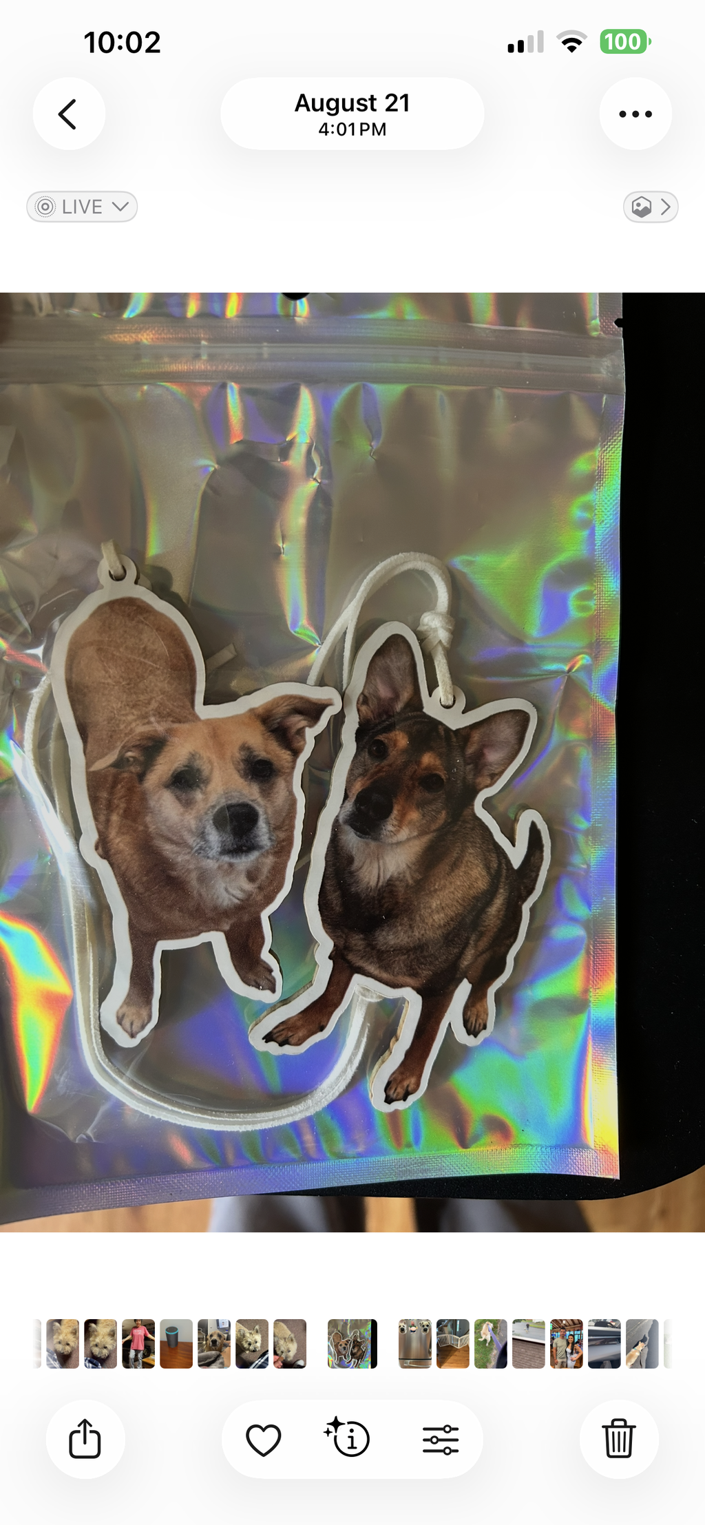 I had air fresheners of my 2 grand dogs made
for my daughter and son in law.  They absolutely love them.  It made such a big hit!