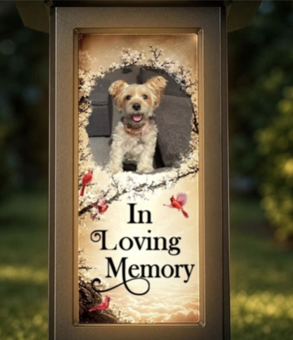 I just love my light up memorial for my dog  Tippy. It’s beautiful in the garden with her picture on it and brings me joy and contentment every time I look at it at night thank you.