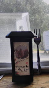 Donna E Kirkpatrick review photo