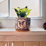 Carolyn Veller review photo