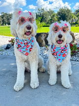 Zoey & Coco review photo