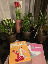 Georgiana Vaetis review photo