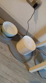 E. V. review photo