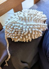 Delphine review photo