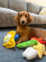 @roosters_wieners review photo