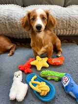 @roosters_wieners review photo