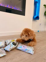 Louis the Goldendoodle review photo