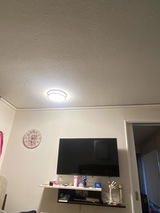 Cecilia Escandon review photo