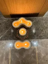 Divyesh Agrawal review photo