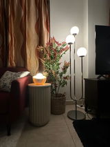 Ahmed Abdulmoez review photo