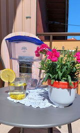 Birgit review photo