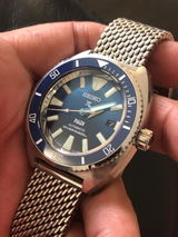 Andrews Turtle review photo