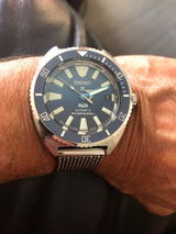 Andrews Turtle review photo