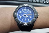 Freinand A.F. review photo