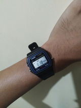 Paolo M.A. review photo