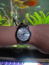 Mark O. review photo