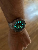 Thilo Britz review photo