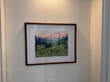Stephanie Lerch review photo