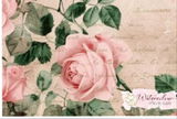 Sheilah review photo
