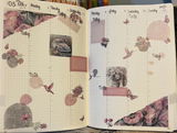 Sheilah review photo