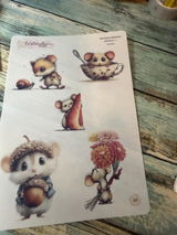 Sheilah review photo