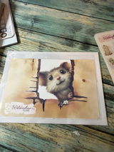 Sheilah review photo