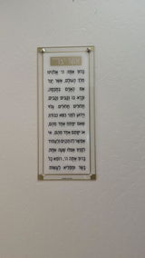Suzanna Gershin review photo